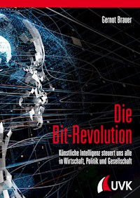 Die Bit-Revolution - Gernot Brauer - ebook