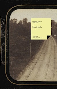 Meditando - Eugenio María de Hostos y Bonilla - ebook