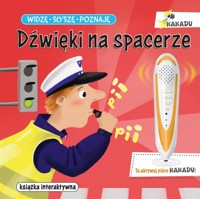 Widzę słyszę poznaję Dźwięki na spacerze - Młodnicka Magdalena - książka