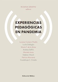 Experiencias pedagógicas en pandemia - Rosana Serafini - ebook