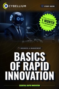 Basics of Rapid Innovation - Cybellium - ebook