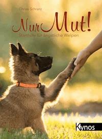 Nur Mut! - Chrissi Schranz - ebook