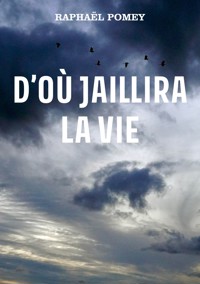 D’où jaillira la vie - Raphaël Pomey - ebook