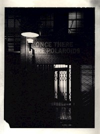 Once There Were Polaroids : Instant Photography at Steidl - Wettre Jonas - książka