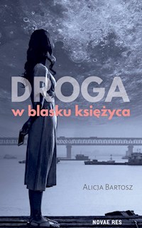 Droga w blasku księżyca - Bartosz Alicja - książka