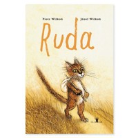 Ruda - Wilkoń Piotr - książka