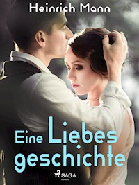 Eine Liebesgeschichte - Heinrich Mann - ebook