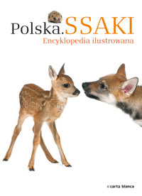 Polska Ssaki Encyklopedia ilustrowana - Moszczyńska Maria - książka