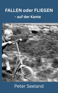 Fallen oder Fliegen - Peter Seeland - ebook