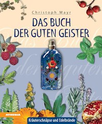 Das Buch der guten Geister - Christoph Mayr - ebook