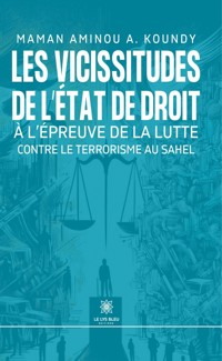Les vicissitudes de l’État de droit à l’épreuve de la lutte contre le terrorisme au Sahel - Maman Aminou A. Koundy - ebook