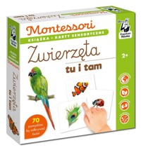 Montessori Zwierzęta tu i tam - Dołhun Katarzyna - książka