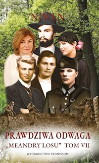 Meandry losu Tom 7 Prawdziwa odwaga - Niwen - książka