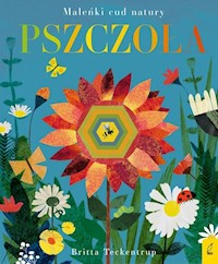 Pszczoła - Hegarty Patricia - książka