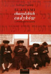 Śladami chasydzkich cadyków w podkarpackiem - Potocki Andrzej - książka