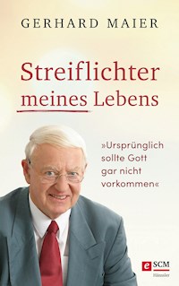 Streiflichter meines Lebens - Gerhard Maier - ebook