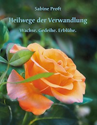 Heilwege der Verwandlung - Sabine Proft - ebook