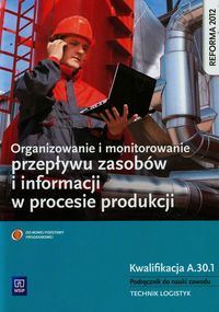 Organizowanie i monitorowanie przepływu zasobów i informacji w procesie produkcji Podręcznik do nauki zawodu technik logistyk Kwalifikacja A.30.1 - Cybulska Daria, Kij Andrzej, Ligaj Magda - książka