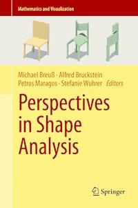 Perspectives in Shape Analysis -  - ebook