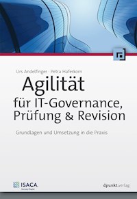 Agilität für IT-Governance, Prüfung & Revision - Urs Andelfinger - ebook