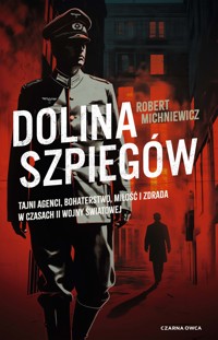 Dolina szpiegów - Michniewicz Robert - ebook + audiobook + książka