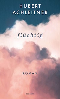 flüchtig - Hubert Achleitner - ebook