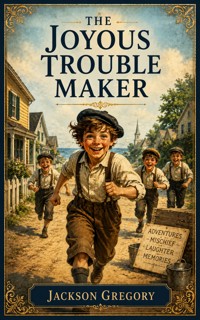 The Joyous Trouble Maker - Jackson Gregory - ebook