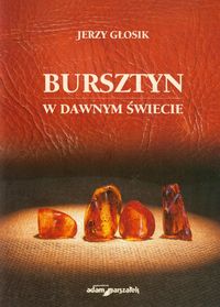 Bursztyn w dawnym świecie - Głosik Jerzy - książka
