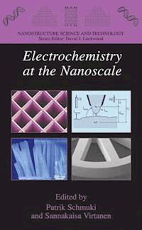 Electrochemistry at the Nanoscale -  - ebook