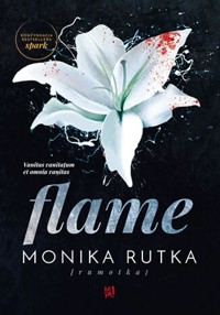 Flame - Rutka Monika - ebook + audiobook + książka