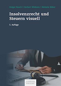Insolvenzrecht und Steuern visuell - Holger Busch - ebook
