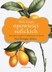 Mała księga opowieści sufickich - Douglas-Klotz Neil - książka
