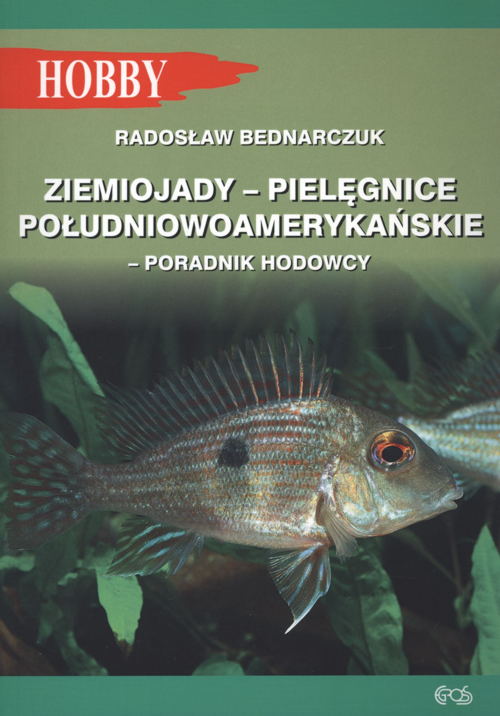 Ziemiojady - Pielęgnice południowoamerykańskie. Poradnik hodowcy - Radosław Bednarczuk - książka