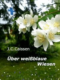 Über weißblaue Wiesen - J.C. Caissen - ebook