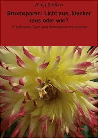 Stromsparen: Licht aus, Stecker raus oder wie? - Alina Steffen - ebook