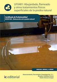 Abujardado, flameado y otros tratamientos físicos superficiales de la piedra natural. IEXD0108 - Tecnología e Investigación S.L. Asesoramiento - ebook