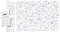 Mapa świata. Dinozaury. Kolorowanka XL - zbiorowa praca - książka