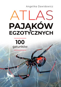 Atlas pająków egzotycznych. 100 gatunków - Angelika Dawidowicz - książka