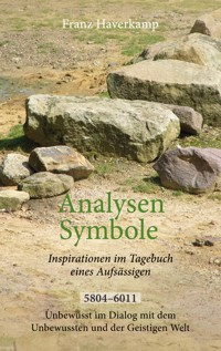 Analysen - Symbole 5804-6011 - Franz Haverkamp - ebook