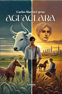 Aguaclara - Carlos Martín Ugena - ebook