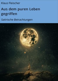 Aus dem puren Leben gegriffen - Klaus Fleischer - ebook