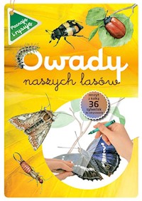 Owady naszych lasów zeszyt w kalką - Katarzyna Kopiec-Sekieta - książka