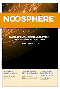 Revue Noosphère - Numéro 17 - Association des Amis de Pierre Teilhard de Chardin - ebook