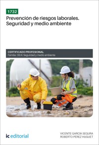 1732. Nivel básico en prevención de riesgos laborales. Seguridad y medio ambiente - Vicente García Segura - ebook
