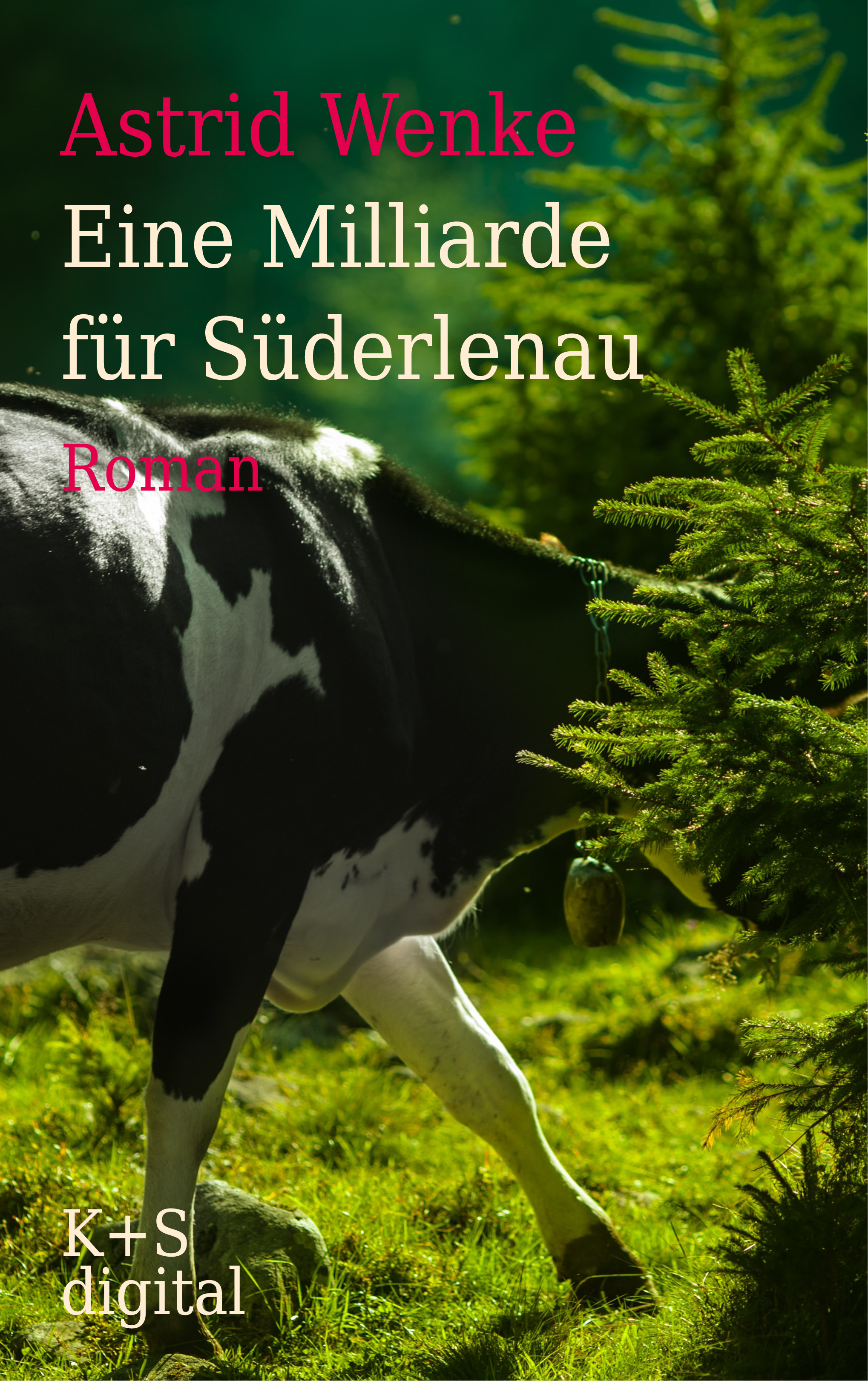 Eine Milliarde für Süderlenau - Astrid Wenke - ebook