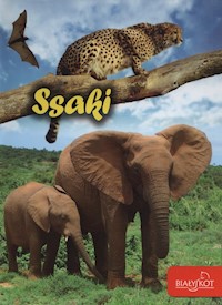 Ssaki - Popielarska-Konieczna Marzena - książka