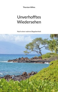 Unverhofftes Wiedersehen - Thorsten Wilms - ebook