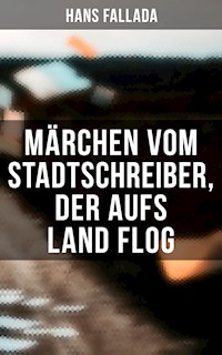 Märchen vom Stadtschreiber, der aufs Land flog - Hans Fallada - ebook