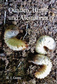 Quallen, Bimm und Alemannia - Ha-Jo Gorny - ebook