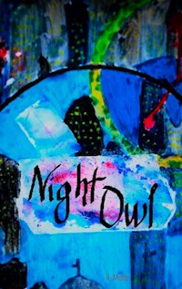 Night Owl - R. Motte - ebook